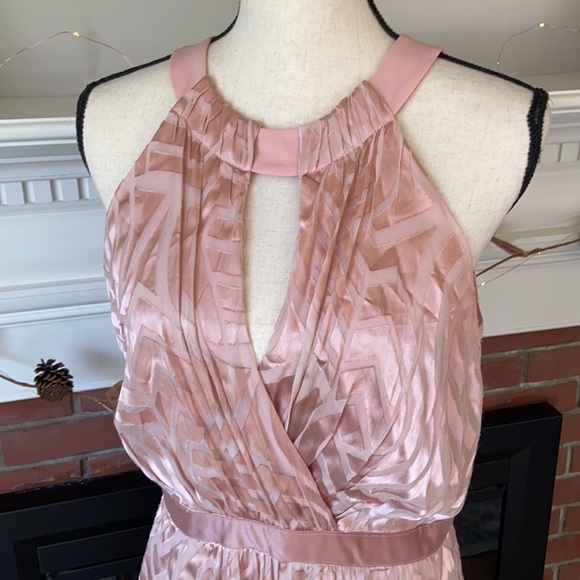 Shoshanna | NWT Blush Gown - Picture 5 of 13